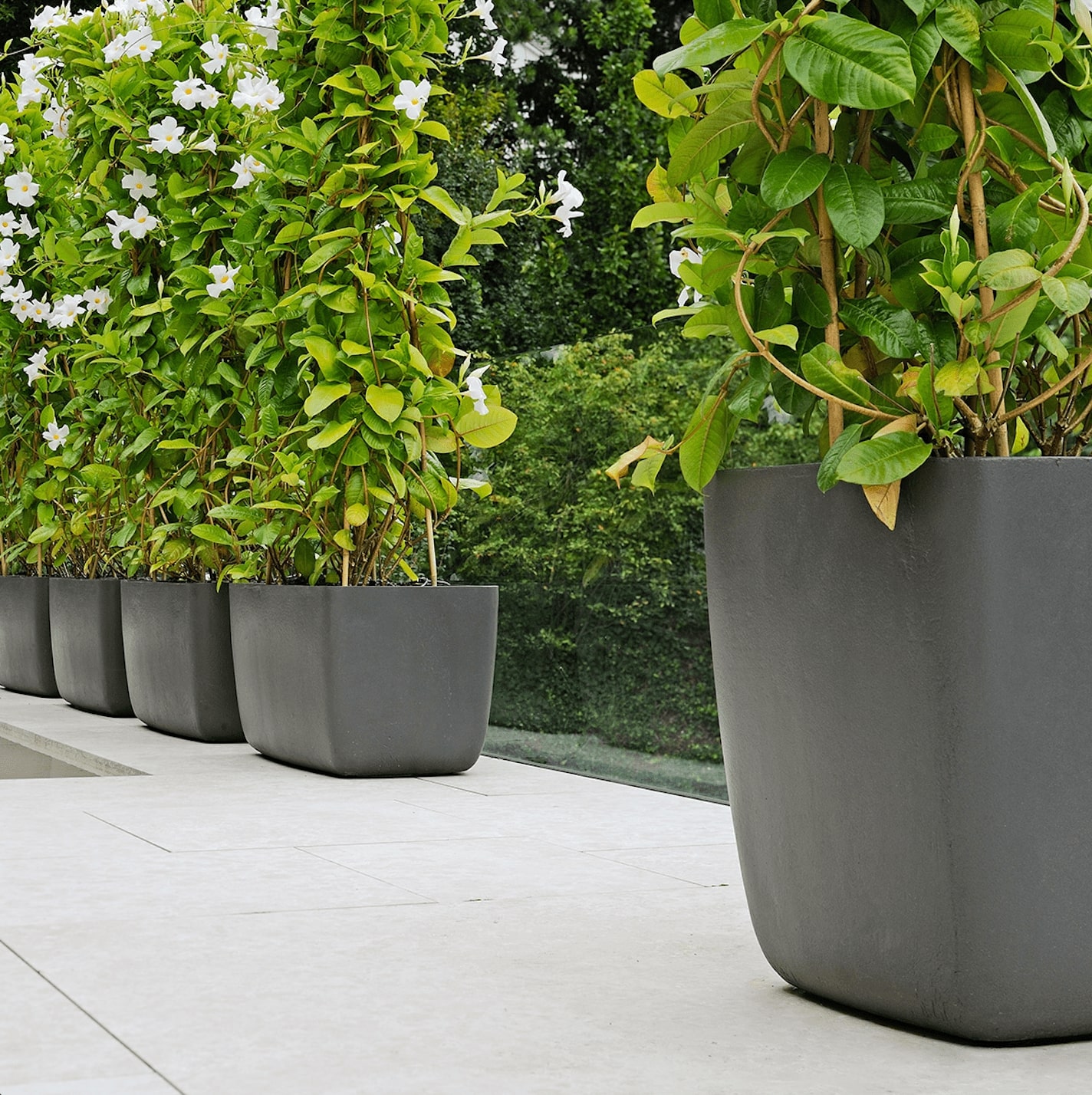 osaka-low-doniczka-na-krzewy-pnacza